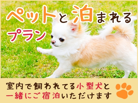 【露天風呂付き客室】和室12畳+洋間ペット2匹OK◎禁煙◎